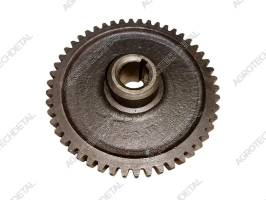 Gear 151.37.379-1 z50