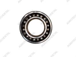Bearing 213 (6213)