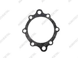 Gasket 151.37.183-1